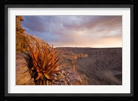 Namibia, Fish River Canyon National Park, desert plant Fine Art Print