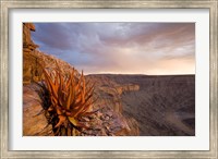 Namibia, Fish River Canyon National Park, desert plant Fine Art Print