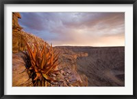 Namibia, Fish River Canyon National Park, desert plant Fine Art Print