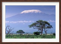 Mount Kilimanjaro, Amboseli National Park, Kenya Fine Art Print