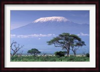 Mount Kilimanjaro, Amboseli National Park, Kenya Fine Art Print