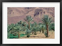Palmery Below Mountains, Morocco Fine Art Print