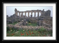 Red Poppies near Basilica in Ancient Roman City, Morocco Fine Art Print