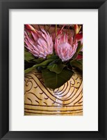 Queen Protea and Heliconia, Umhlanga Rocks, Durban, Kwazulu Natal, South Africa Fine Art Print