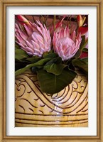 Queen Protea and Heliconia, Umhlanga Rocks, Durban, Kwazulu Natal, South Africa Fine Art Print