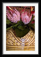Queen Protea and Heliconia, Umhlanga Rocks, Durban, Kwazulu Natal, South Africa Fine Art Print