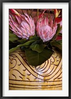 Queen Protea and Heliconia, Umhlanga Rocks, Durban, Kwazulu Natal, South Africa Fine Art Print