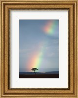 Rainbow Forms Amid Rain Clouds, Masai Mara Game Reserve, Kenya Fine Art Print