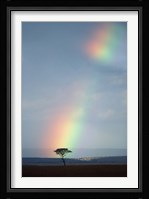 Rainbow Forms Amid Rain Clouds, Masai Mara Game Reserve, Kenya Fine Art Print
