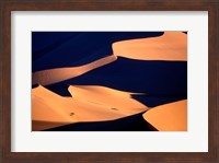 Red Sand Dunes in Namib Desert, Namib Naukluft National Park, Namibia Fine Art Print