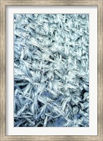 Pattern of Winter Frost on Glass Fine Art Print