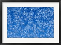 Pattern of Winter Frost on Glass Fine Art Print