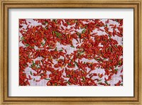 Red Chili Drying in the Midday Sun, Madagascar Fine Art Print