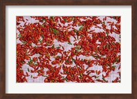 Red Chili Drying in the Midday Sun, Madagascar Fine Art Print