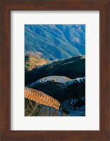 Mountainside Rice Terraces, China Fine Art Print