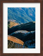 Mountainside Rice Terraces, China Fine Art Print