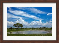 Okaukuejo waterhole, Etosha National Park, Namibia Fine Art Print