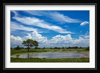 Okaukuejo waterhole, Etosha National Park, Namibia Fine Art Print