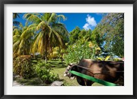 Seychelles, La Digue, ox-cart transport Fine Art Print