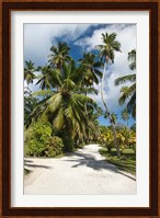 Seychelles, La Digue, Palm lined country path Fine Art Print