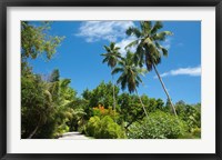 Seychelles, La Digue. Remote island path Fine Art Print