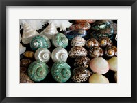 Shells for sale in market, Mahe Island, Seychelles Fine Art Print