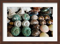 Shells for sale in market, Mahe Island, Seychelles Fine Art Print