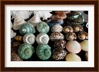 Shells for sale in market, Mahe Island, Seychelles Fine Art Print