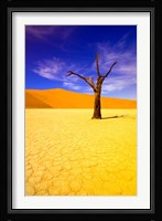 Skeleton Trees in Dead Vlei, Namibia Fine Art Print