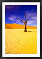 Skeleton Trees in Dead Vlei, Namibia Fine Art Print