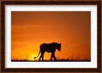 Silhouette of Lion, Masai Mara Game Reserve, Kenya Fine Art Print