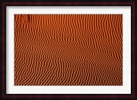 Sand dune patterns,  Namibia Fine Art Print