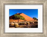 Trees with Sossosvlei Dunes, Namib-Naukluff Park, Namibia Fine Art Print