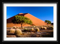 Trees with Sossosvlei Dunes, Namib-Naukluff Park, Namibia Fine Art Print