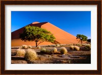 Trees with Sossosvlei Dunes, Namib-Naukluff Park, Namibia Fine Art Print