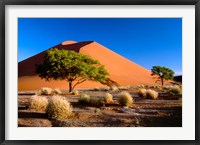 Trees with Sossosvlei Dunes, Namib-Naukluff Park, Namibia Fine Art Print