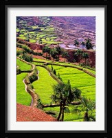 Rice Terraces, Jiayin Village, Honghe, Yunnan, China Fine Art Print