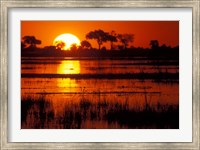 Setting Sun over Lush Banks, Chobe National Park, Botswana Fine Art Print