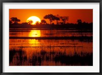 Setting Sun over Lush Banks, Chobe National Park, Botswana Fine Art Print