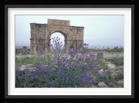 Ruins of Triumphal Arch in Ancient Roman city, Morocco Fine Art Print