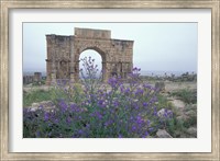 Ruins of Triumphal Arch in Ancient Roman city, Morocco Fine Art Print