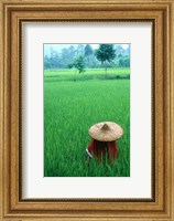 Scenic of Rice Fields and Farmer on Yangtze River, China Fine Art Print