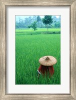Scenic of Rice Fields and Farmer on Yangtze River, China Fine Art Print