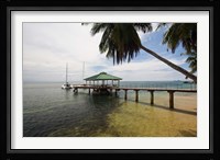 Seychelles, Anse Bois de Rose, Coco de Mer, Resort Fine Art Print