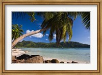 Seychelles, Mahe Island, Anse a la Mouche Fine Art Print