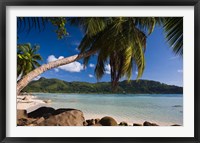 Seychelles, Mahe Island, Anse a la Mouche Fine Art Print