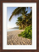 Seychelles, Mahe Island, Anse Marie-Louise, dawn Fine Art Print