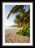 Seychelles, Mahe Island, Anse Marie-Louise, dawn Fine Art Print