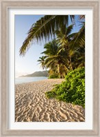 Seychelles, Mahe Island, Anse Marie-Louise, dawn Fine Art Print