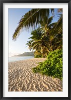 Seychelles, Mahe Island, Anse Marie-Louise, dawn Fine Art Print